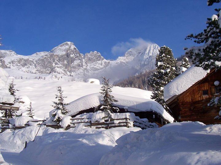 Haus Birkenheim Lägenhet Filzmoos Exteriör bild